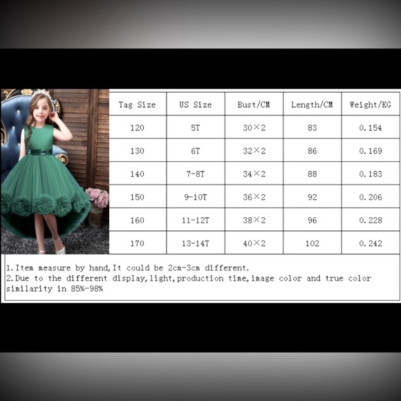 Pageant Girls Elegant Cute Mesh Flower Embroidery Princess Dress - Picture 8 of 8